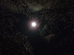 Full moon ice storm