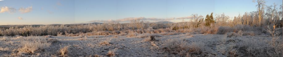 Panorama of Monadnock icestorm