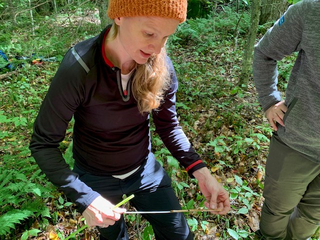 Photo shows Laura Smith examining a tree core. By Lynda Mapes.