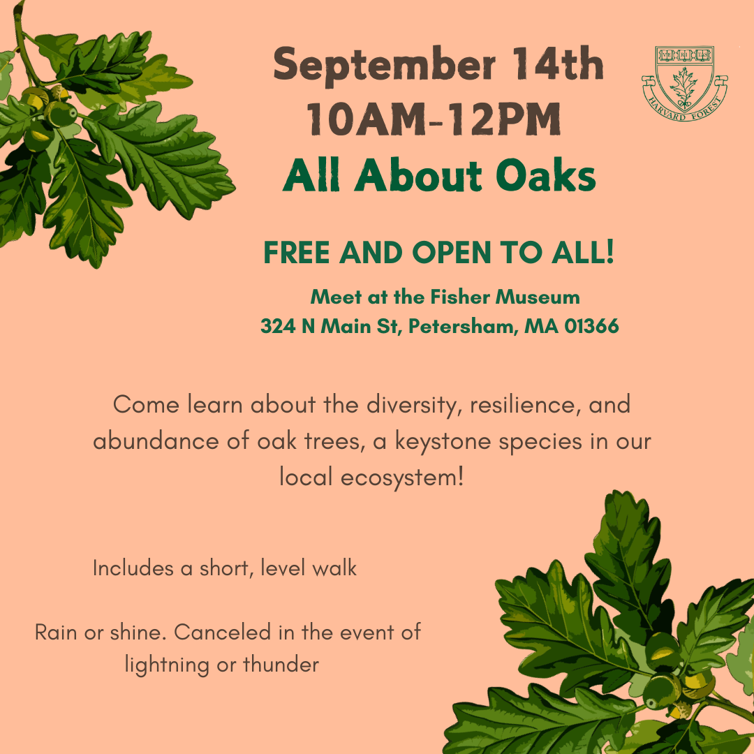 Image shows event details described to the right adjacent to a depiction of oak leaves.