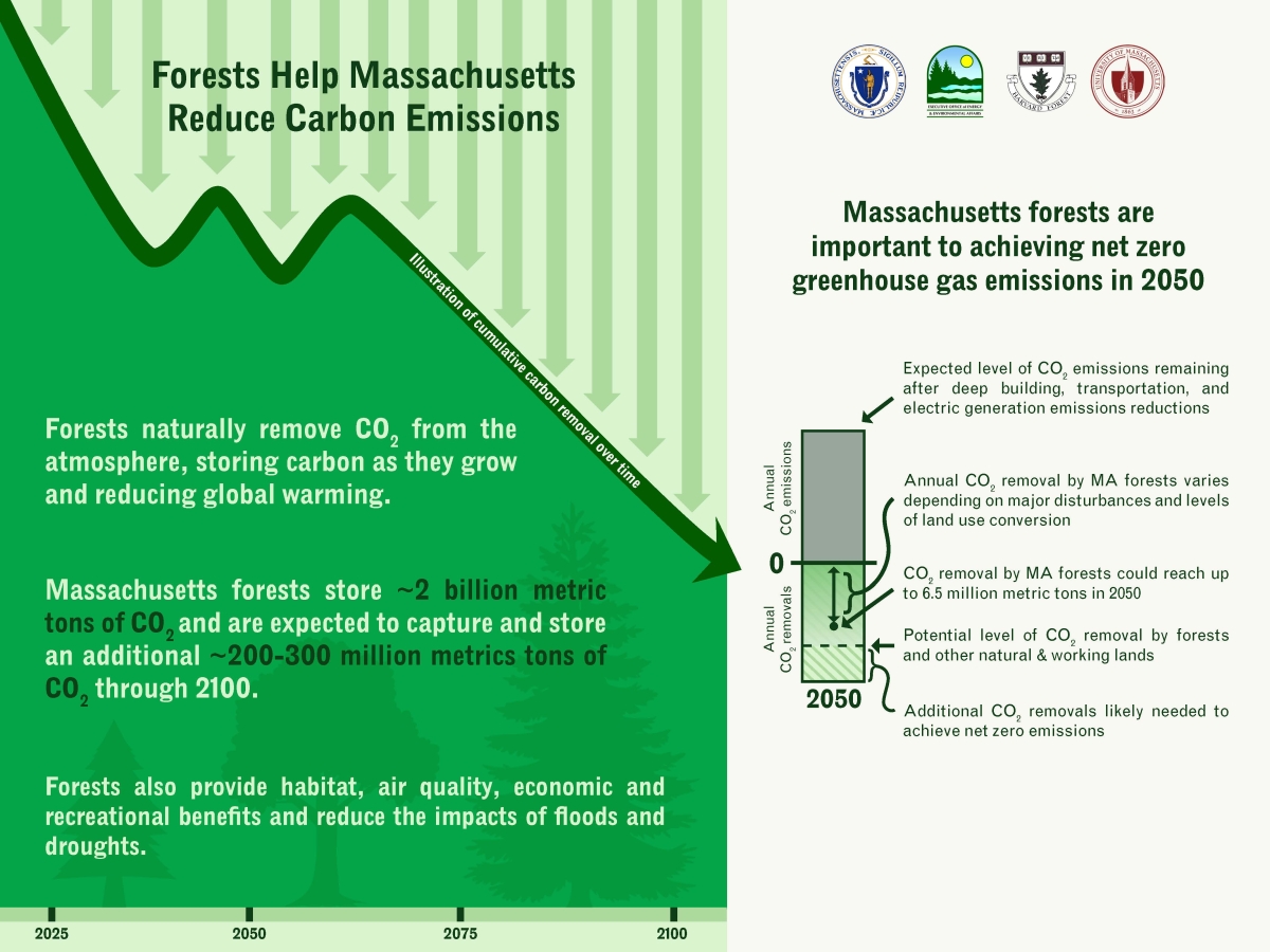 Image shows infographic describing data related to Massachusetts' forests carbon removal and emissions across several decades. From https://www.mass.gov/info-details/forest-carbon-study.