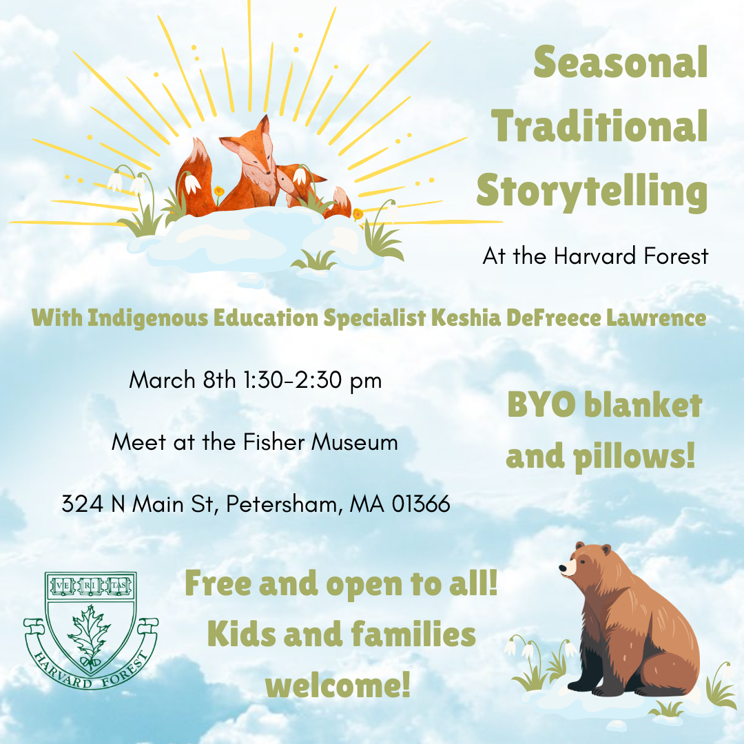 Image shows the text included in this webpage, plus cartoon-style graphics of a bear, foxes, and spring flowers.