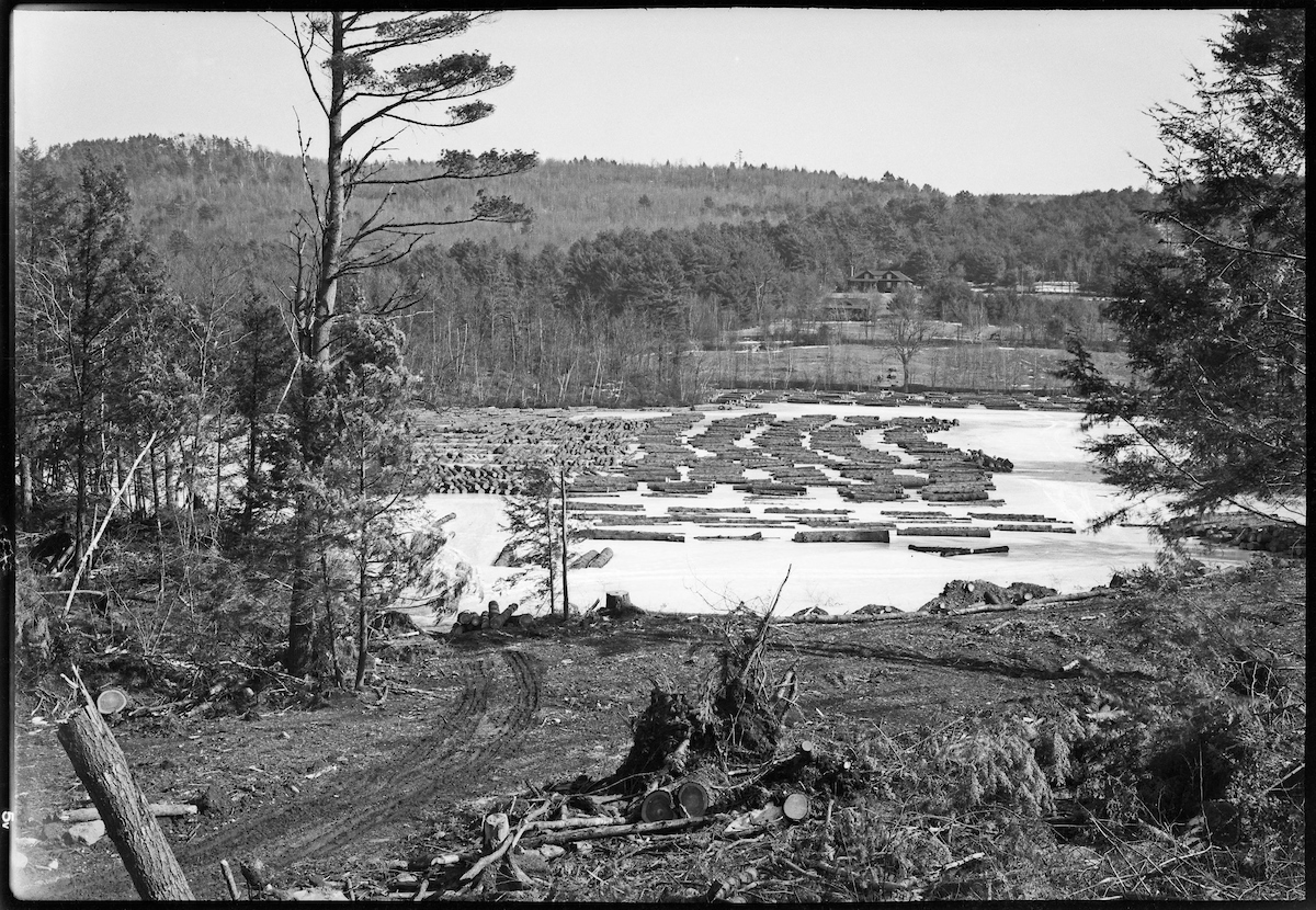 [<i>A site for storage and receiving salvage logs in Petersham after the 1938 hurricane. Photo by A.J. Lute</i>]