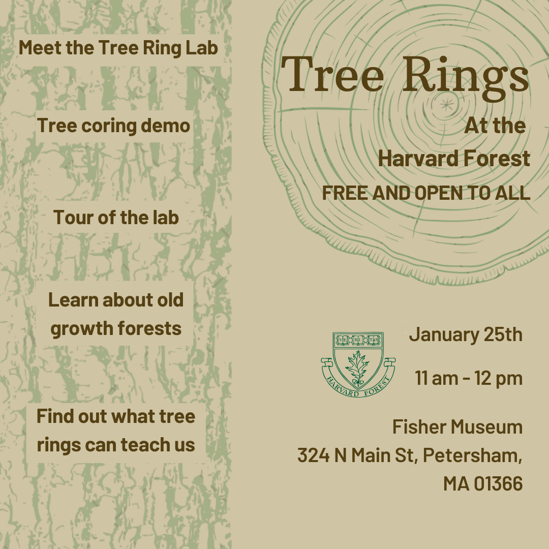 Image shows a graphic with text, including information noted on this webpage, plus a description of activities: "meet the tree ring lab; tree coring demo; tour of the lab; learn</body></html>