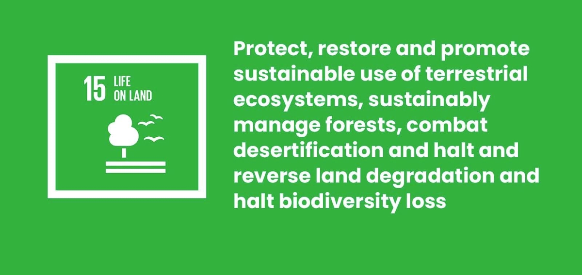 Image shows Sustainable Development Goal #15, "Life on Land."