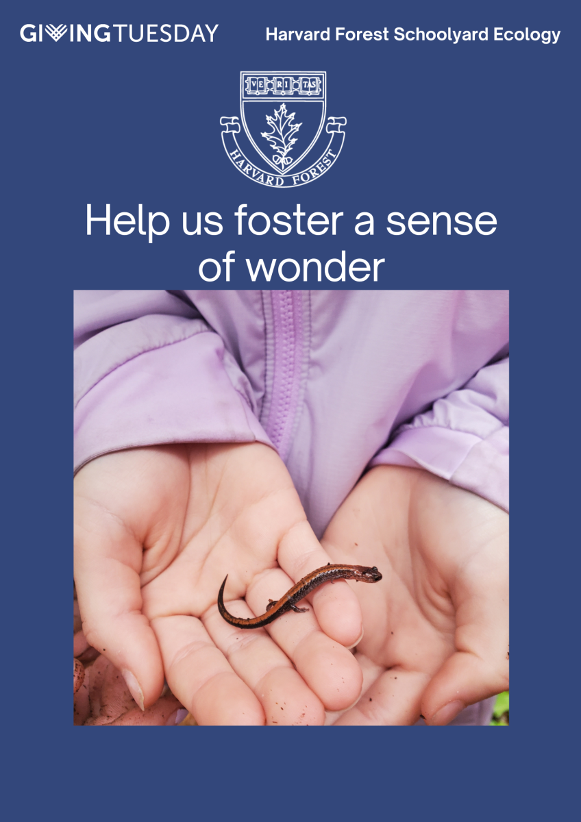 Image shows a picture of a student's hands holding a salamander with a blue backdrop and Giving</body></html>