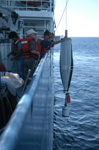 California Current Ecosystem research