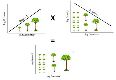 [A visual explanation of the idea of energy equivalence. Photo by Colleen Smith]