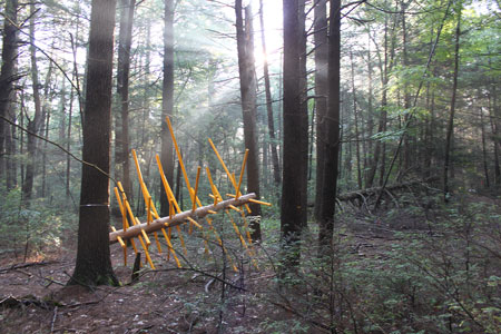 [Exchange Tree, one of twelve Hemlock Hospice installations at Harvard Forest, 8 x 10 x 12.5 feet, wood and acrylic paint, 2017. Collaborators: David Buckley Borden, Dr. Aaron Ellison, Salvador Jiménez-Flores, and Salua Rivero.]