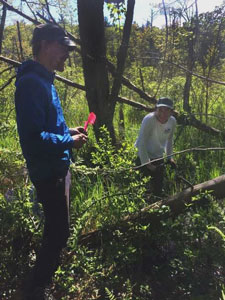 [Marco overseeing Sarah as she’s hard at work coring soil for redox probe installation within the wet region of the soil moisture gradient. Photo by Rachelle LaCroix]