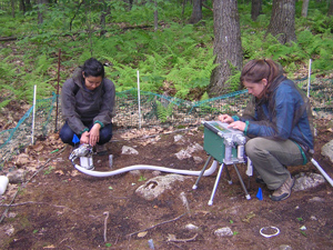 Harvard Forest research