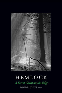 Hemlock