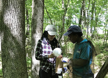 [My mentor Mercedes Harris and I collecting seed traps at Questing Forest]