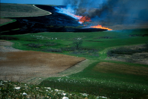 Fire experiments at Konza Prairie 