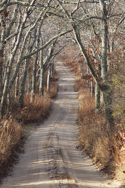 Oaks Framing Road