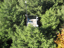 [View from Above of Hemlock Walkup]