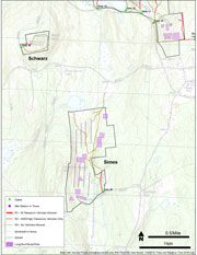 Schwarz and Simes Tract