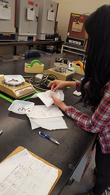 [Weighing and counting earthworms collected at Harvard Forest]