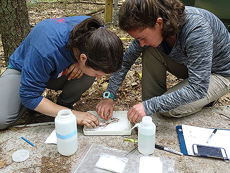 [Cleaning off a root sample with my mentor Fiona.]