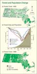 Forest then and now