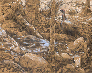 [Nelson Brook, downstream with turkey]