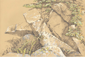 drawing of boulder