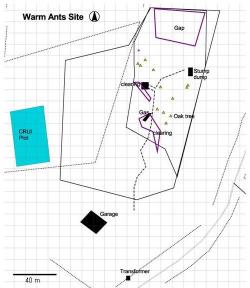 Warm ants plot map