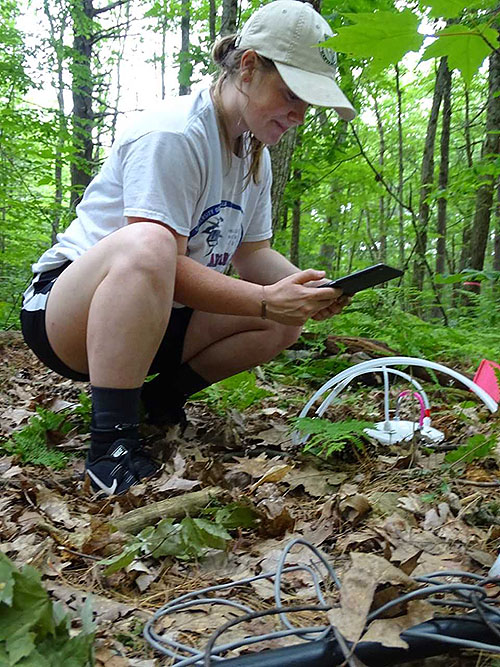 [Thinking hard as a tablet does all the hard work of recording soil respiration rates for me.]