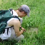 [Adam studies an ant community.]