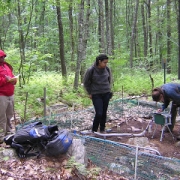 Maya, Joanna, and Claudia using a Portable Photosynthesis System.