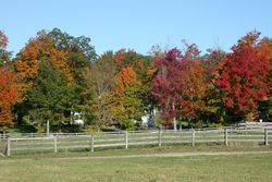 Harvard Forest Pasture Autumn