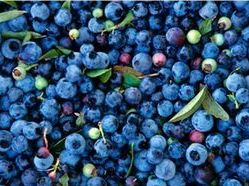 Blueberries