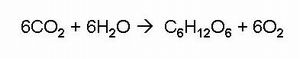 Photosynthesis Formula