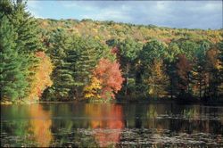 [Autumn foliage and reflection in the Swift River Reservation.]