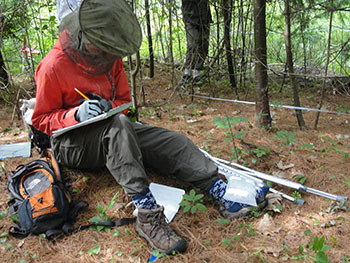 [After spraining my ankle trail running, I still joined in the field to collect data]