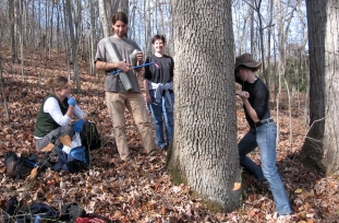 oak coring