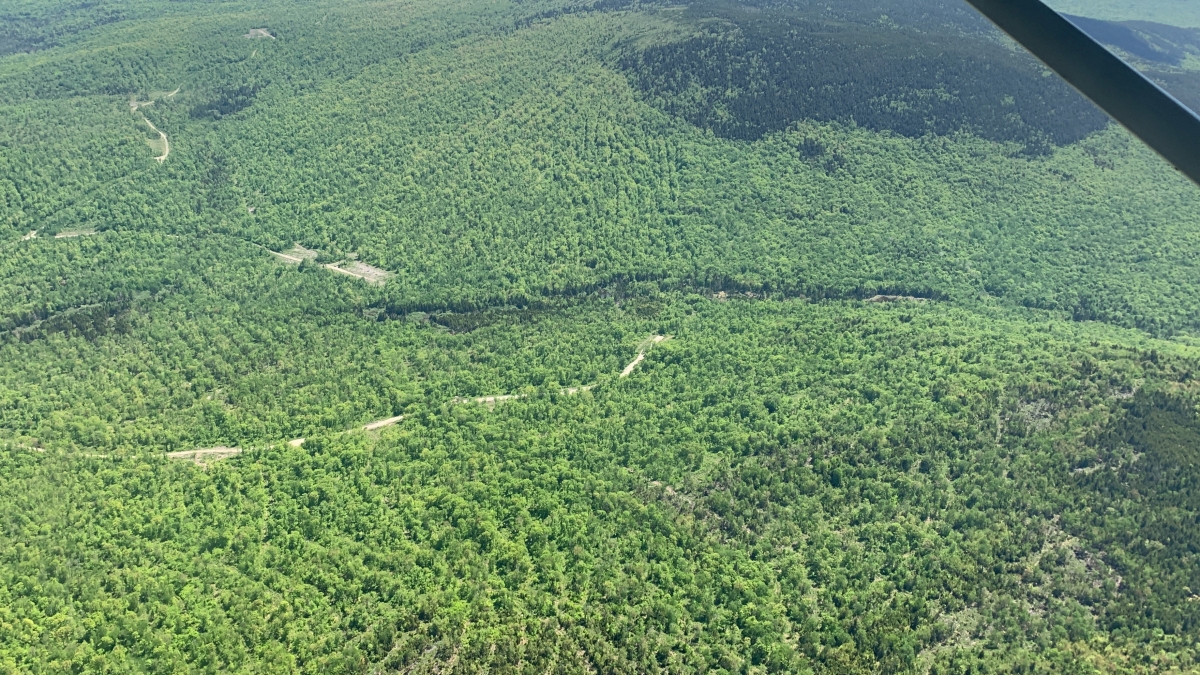 Photo shows an aerial view of light harvesting on Penobscot tribal land