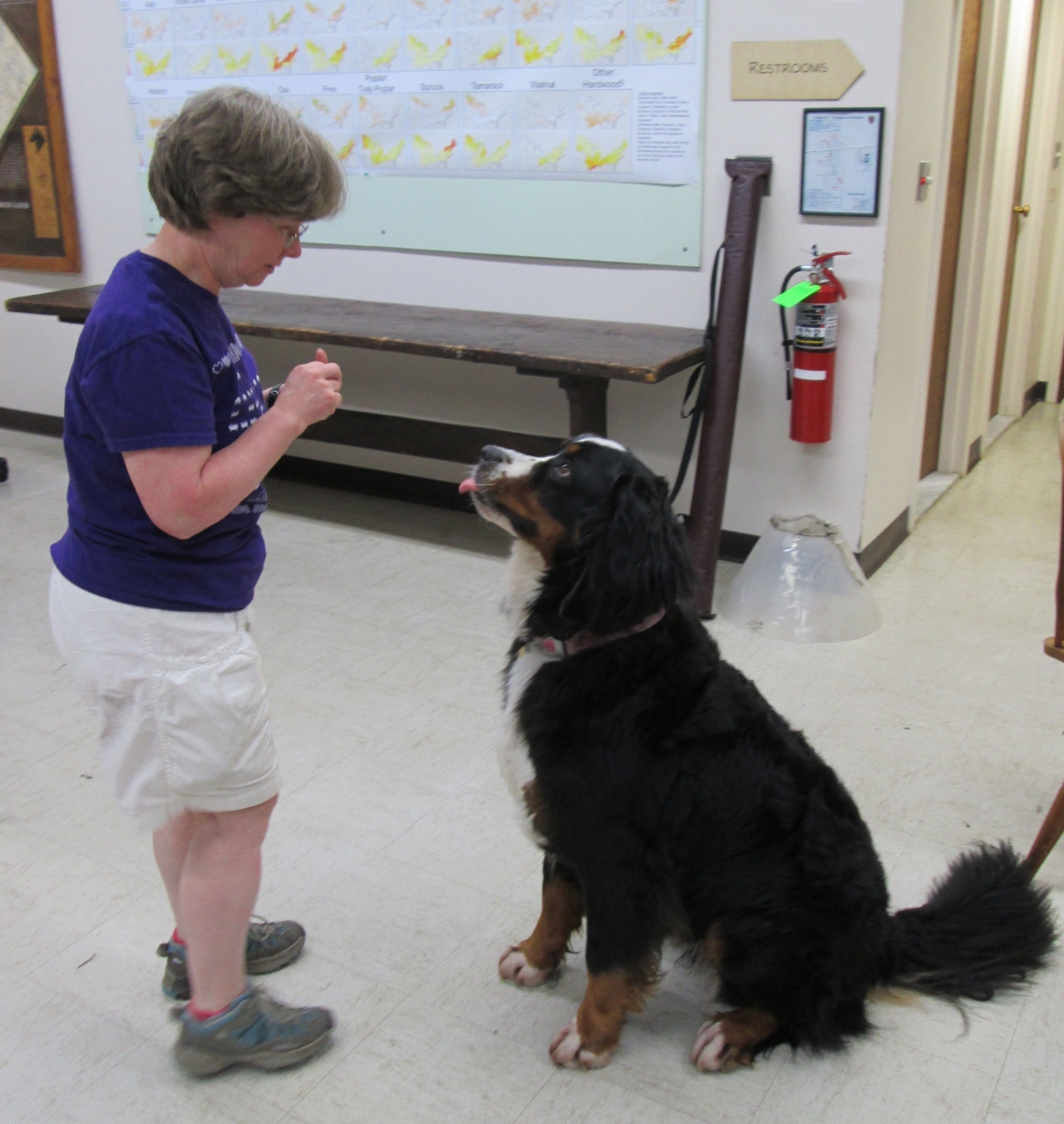 [Barbara Lerner and Snickers showing off Snicker's tricks.]