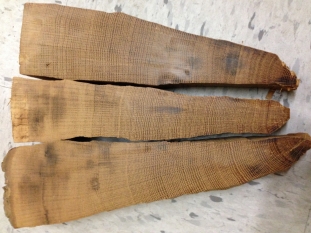 Hawley tree rings