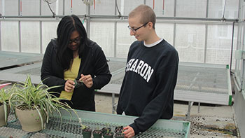 [Jerilyn and I observing growth of sheep's sorrel in greenhouse. Photo by Jill Fusco] 