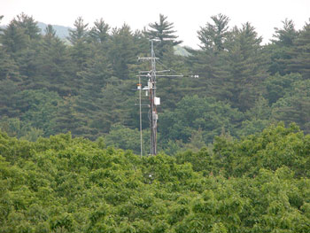 [EMS Tower viewed from Walkup]