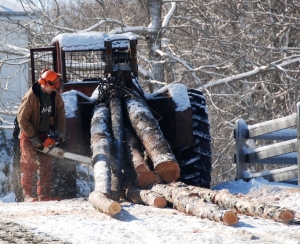 local wood harvest